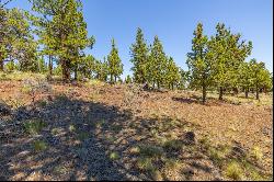 1470 NW Puccoon Court Bend, OR 97703