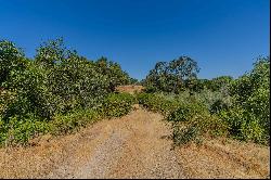 5650 Red Vallley Road, Ione, CA 95640