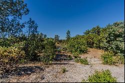 5650 Red Vallley Road, Ione, CA 95640