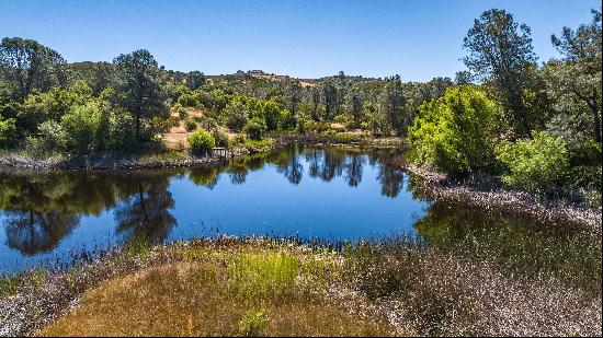 5650 Red Vallley Road, Ione, CA 95640