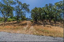 5650 Red Vallley Road, Ione, CA 95640