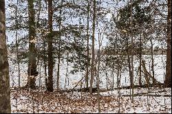 0 Lake Of The Woods Trail, Bellaire MI 49615