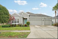 17735 Bright Wheat Drive, Lithia FL 33547