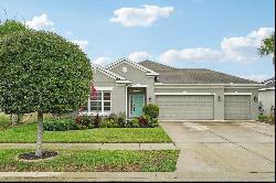 17735 Bright Wheat Drive, Lithia FL 33547