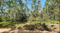 3.76 acres Mt Pleasant Road, Jesup GA 31546