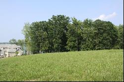 Lot 508 South View Cir, Penhook VA 24137