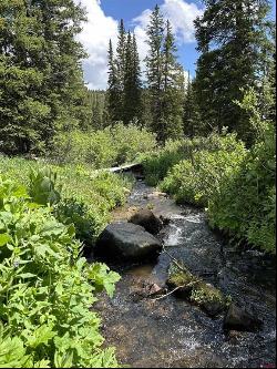 210 9th Street, Crested Butte CO 81224