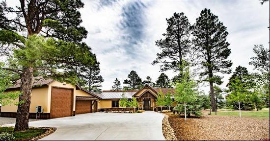 Pagosa Springs Residential