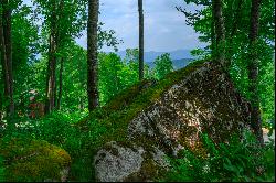 BANNER ELK - THE LODGES AT EAGLES NEST