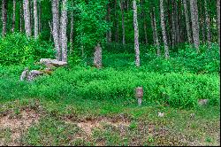 BANNER ELK - THE LODGES AT EAGLES NEST