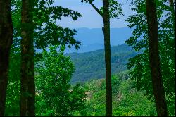 BANNER ELK - THE LODGES AT EAGLES NEST