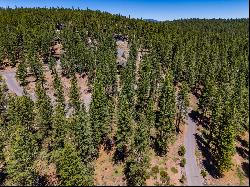 The Bluffs Side of Gray's Crossing Vacant Land