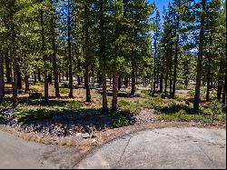 The Bluffs Side of Gray's Crossing Vacant Land