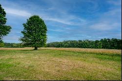 Stunning Custom Home On Fifteen Acres In Coweta!