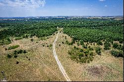 Horizon View Ranch