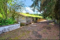 Kirktonleys Farm, Blairgowrie, Perthshire, PH10 6RE