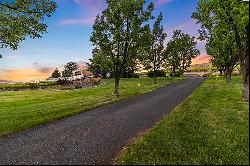 Serene Vineyard Oasis