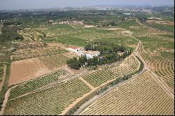 Manor house of 1300m2 with 100.000 m2 of vineyards at 20 minutes from Sitges.