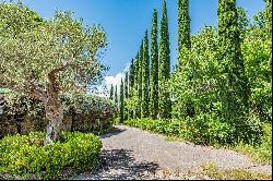 Charming country house among vineyards and olive groves