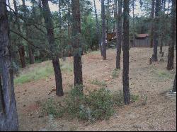 18 Strawberry Hollow, Pine AZ 85544