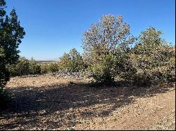 Tract 1 County Park Road, Estancia NM 87016