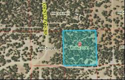 Tract 1 County Park Road, Estancia NM 87016