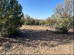 Tract 1 County Park Road, Estancia NM 87016