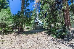 38752 hwy 36, Mineral CA 96061