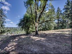 S Henrici Rd, Oregon City OR 97045