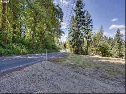 S Henrici Rd, Oregon City OR 97045