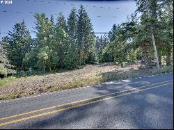 S Henrici Rd, Oregon City OR 97045