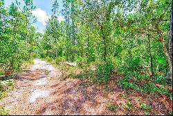 3129 N Bert Ter, Crystal River FL 34428