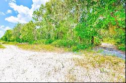 3129 N Bert Ter, Crystal River FL 34428