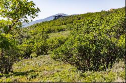 Privacy, Mountain Views, Downhill Build and Build up to Four Structures