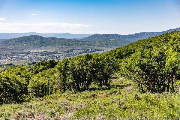 Privacy, Mountain Views, Downhill Build and Build up to Four Structures