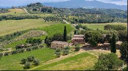 Luxury development opportunity with truffles, Siena – Tuscany