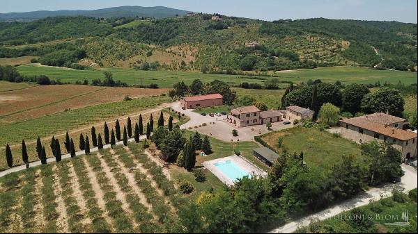 Chianti vineyards, cellar and farm, Monteriggioni - Tuscany