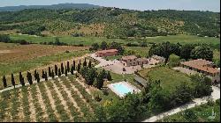 Chianti vineyards, cellar and farm, Monteriggioni - Tuscany