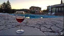 Chianti vineyards, cellar and farm, Monteriggioni - Tuscany