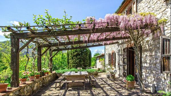 The Peacock Country House with cottage, Montieri, Grosseto - Tuscany