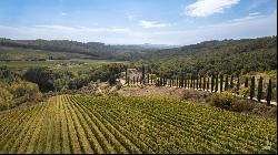 Ancient country mansion with hot spring and vineyards, Siena - Toscana