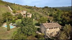 Ancient country mansion with hot spring and vineyards, Siena - Toscana