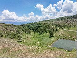 TBD Little Rose Lane, Ridgway, CO, 81432