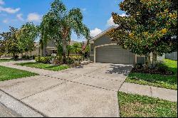 2243 Barracuda Court, Holiday FL 34691