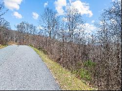 #4 Mountain Watch Dr, Waynesville NC 28785