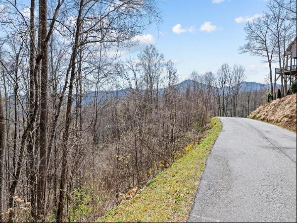 #4 Mountain Watch Dr, Waynesville NC 28785