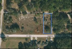 SW 100th Lane, Dunnellon FL 34432