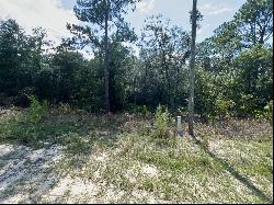 SW 134th Avenue, Dunnellon FL 34432