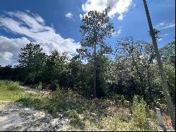 SW 134th Avenue, Dunnellon FL 34432