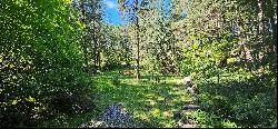 34006 Redgate Lane, Bigfork MT 59911